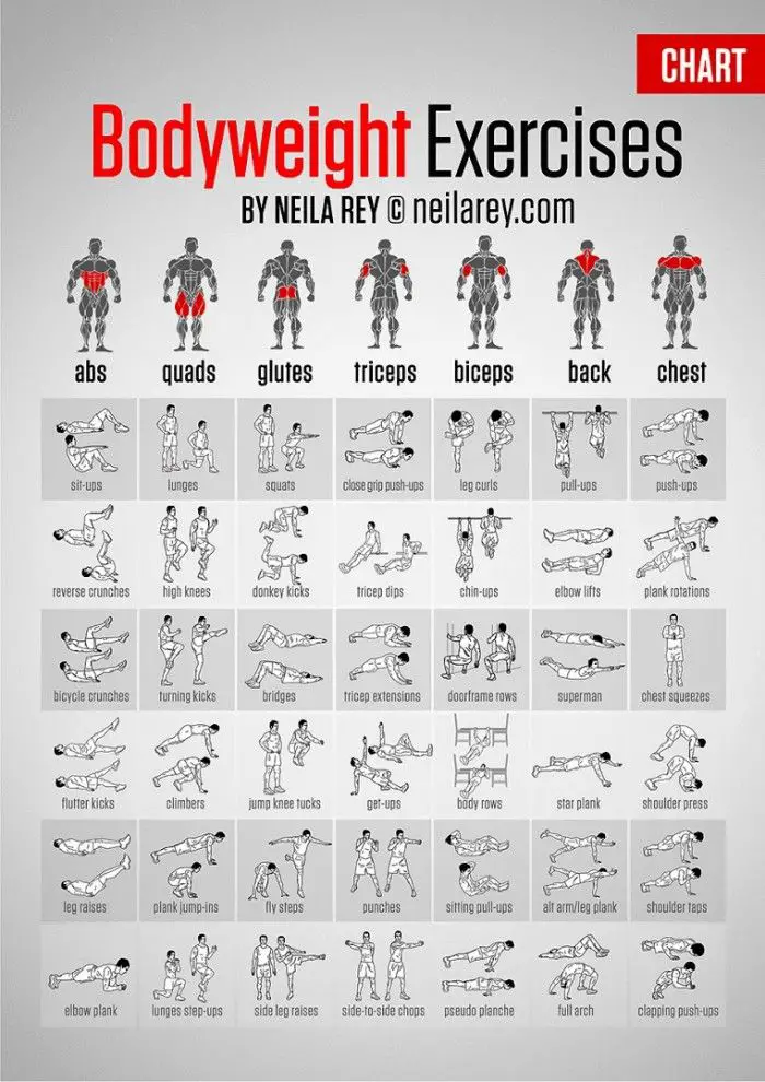 Get Fit Without Weights: Bodyweight Exercises [Chart] | Daily Infographic