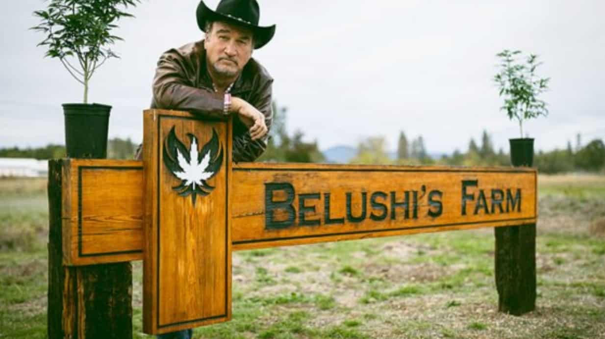 Growing Belushi Season 4 Episode 1 Release Date