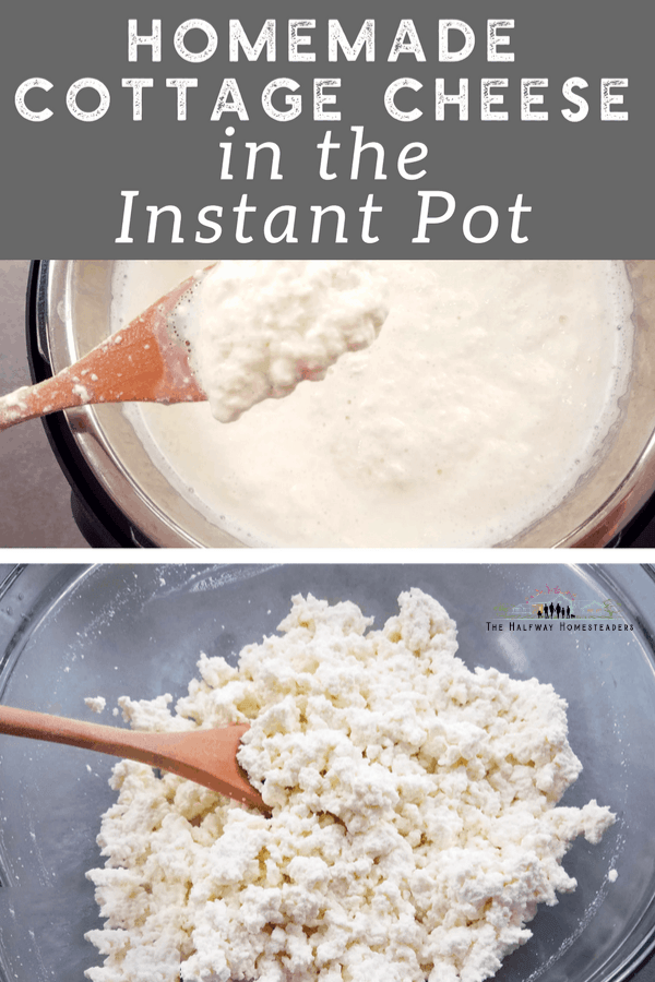 Homemade Cottage Cheese in The Instant Pot