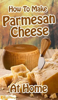 How To Make Parmesan Cheese Recipe At Home | Curd Nerd