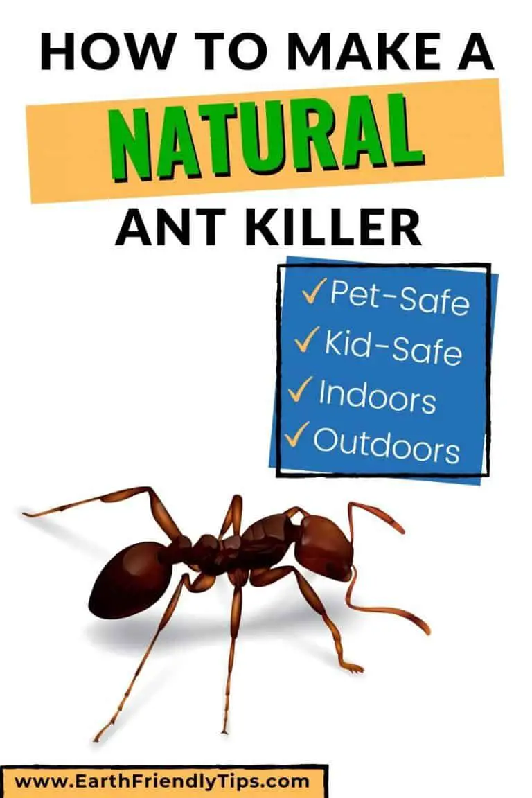 How to Get Rid of Ants Naturally - Earth Friendly Tips
