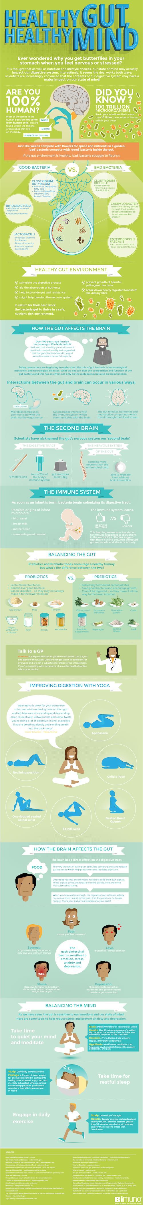 Infographic: The Key to a Healthy Brain Is a Healthy Digestive System