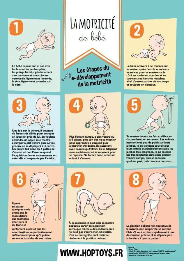 Infographies : les différentes étapes de bébé