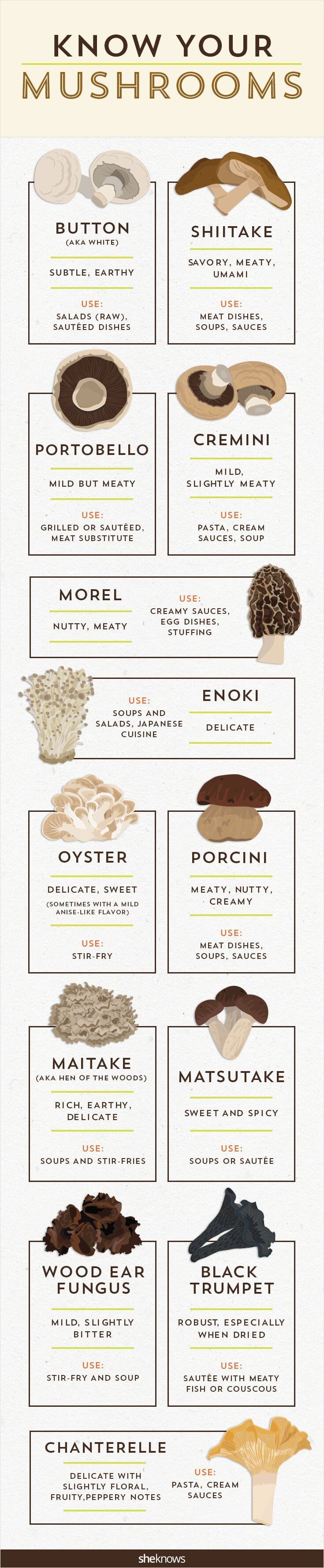 It's time to get your fungus knowledge down with this mushroom infographic