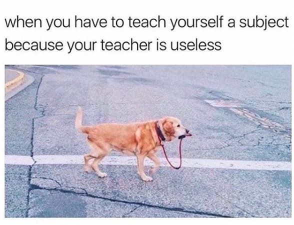 Just 100 Hilarious Memes For Anyone Who's Gone To University