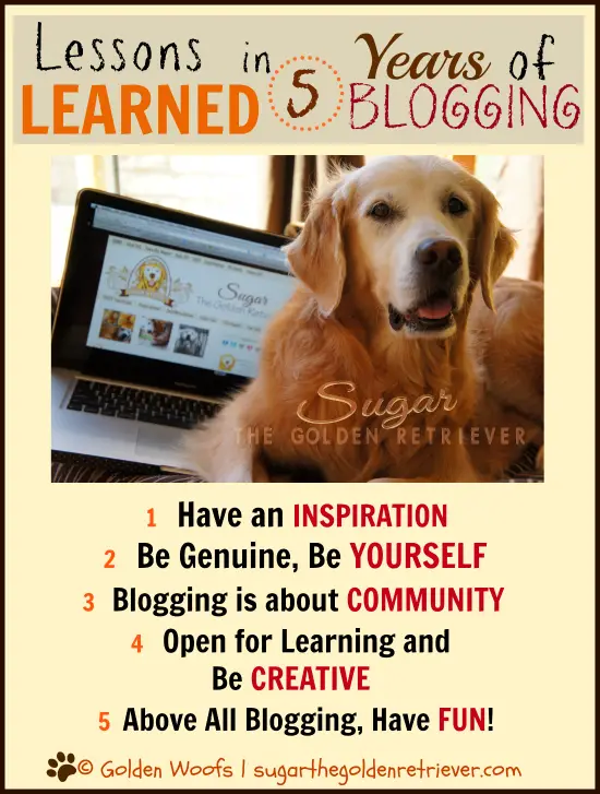 Lessons Learned in 5 Years of Blogging - Golden Woofs