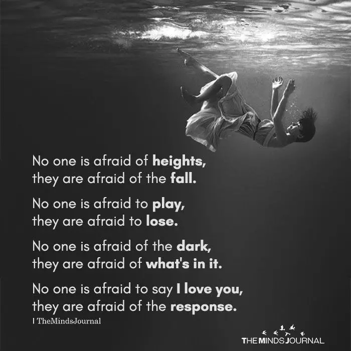 No One Is Afraid Of Heights