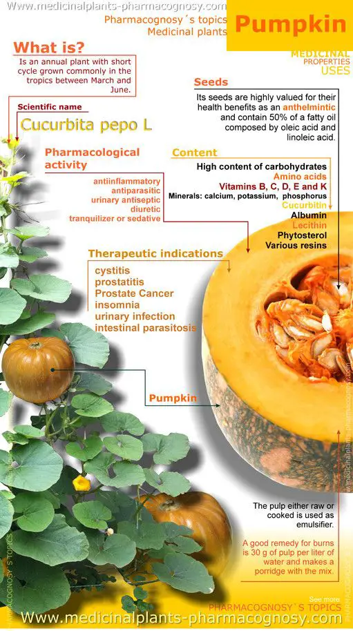 Pumpkin health benefits. Infographic