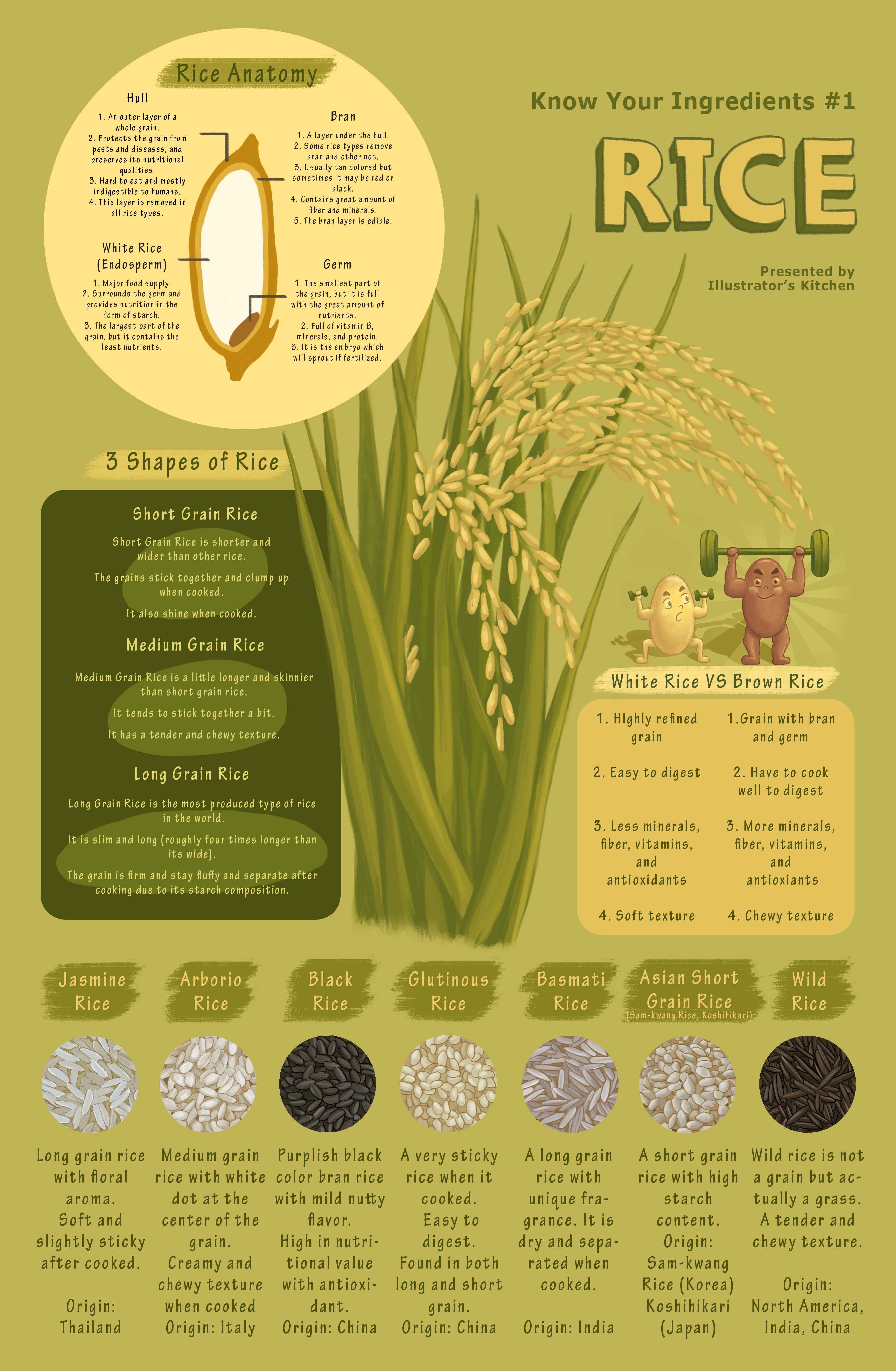 Rice Infographic Poster