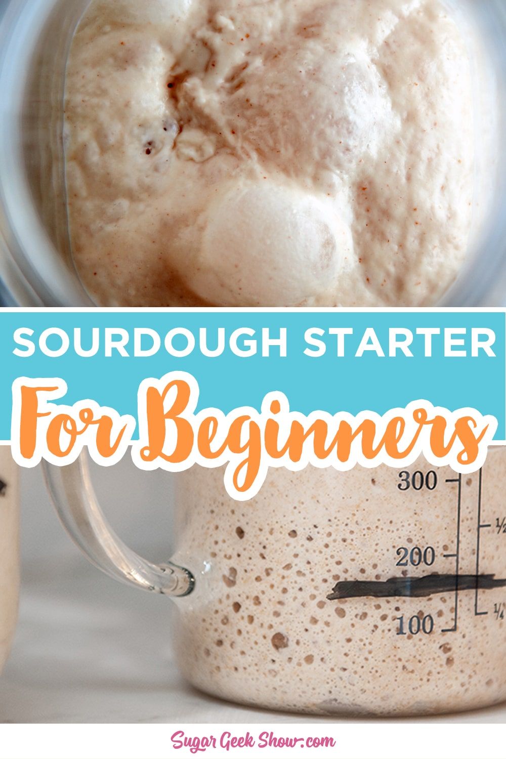 Sourdough Starter For Beginners