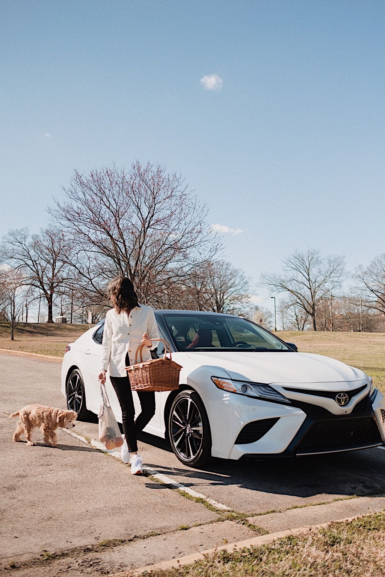 There for Life: The 2020 Toyota Camry - THE M.A. TIMES