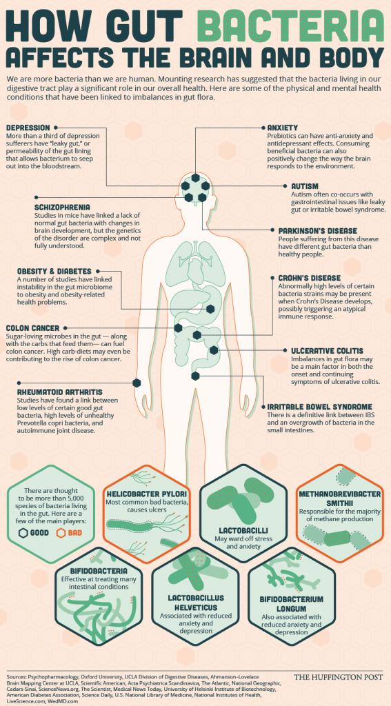 82 Ways To Heal Your Gut