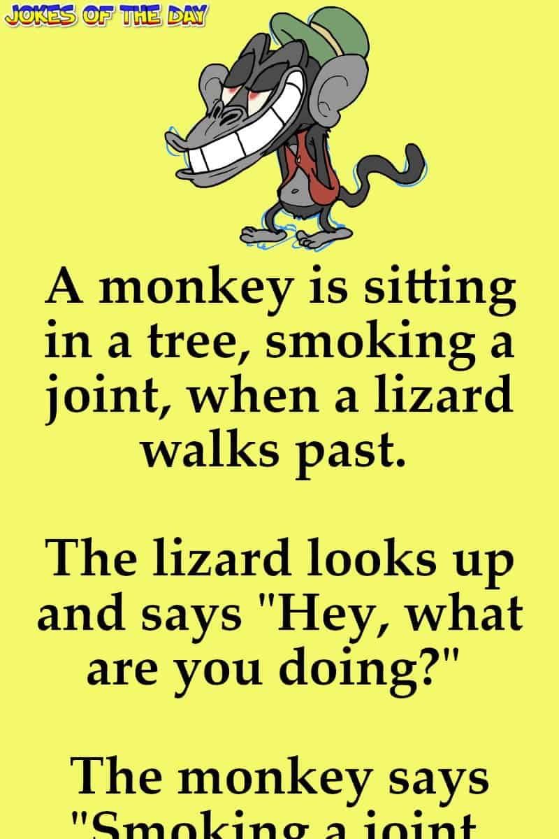 Funny: A monkey is sitting in a tree, smoking a joint, when a...
