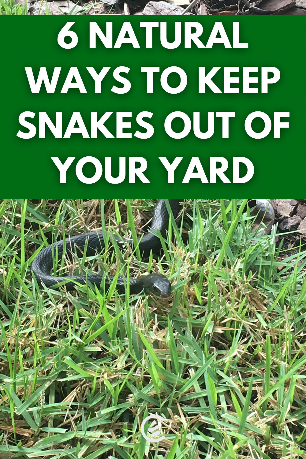 6 Tips to Keep Snakes OUT