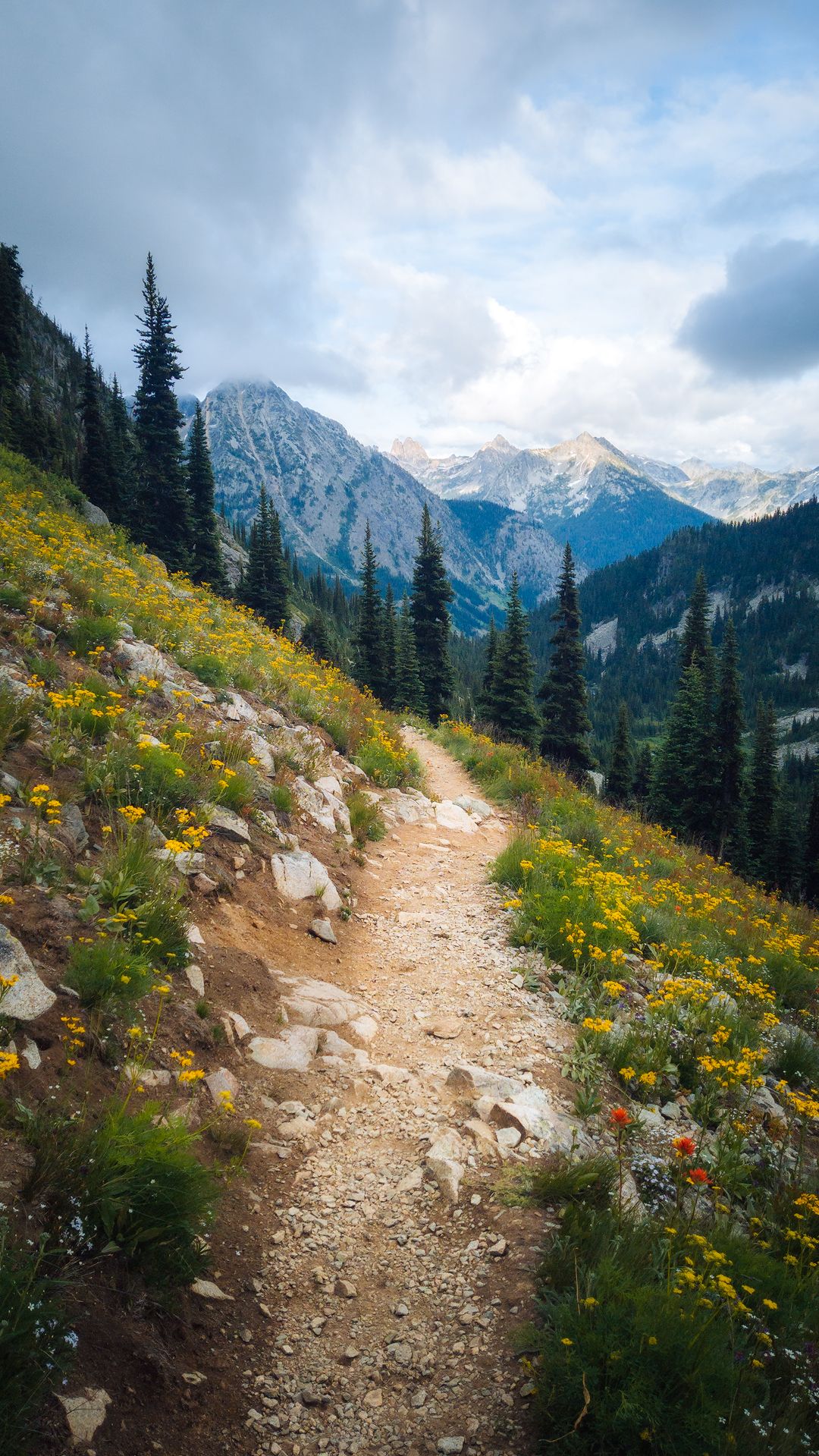 Best Beginner Hikes in Washington State