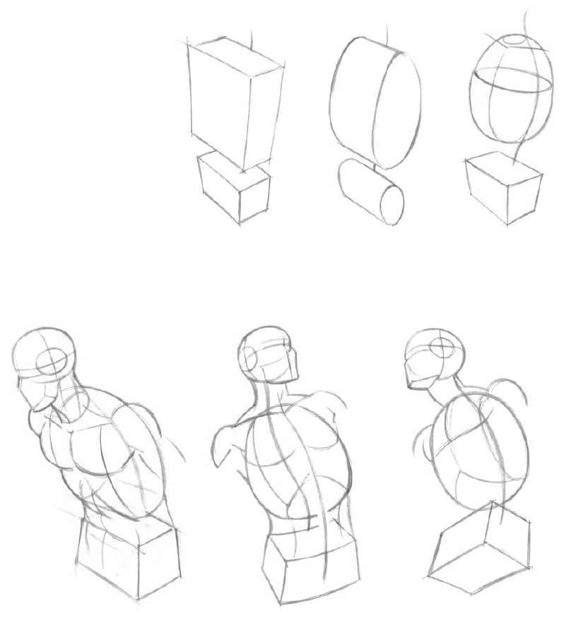 Figure Drawing Basics | PDF | Drawing | Nature