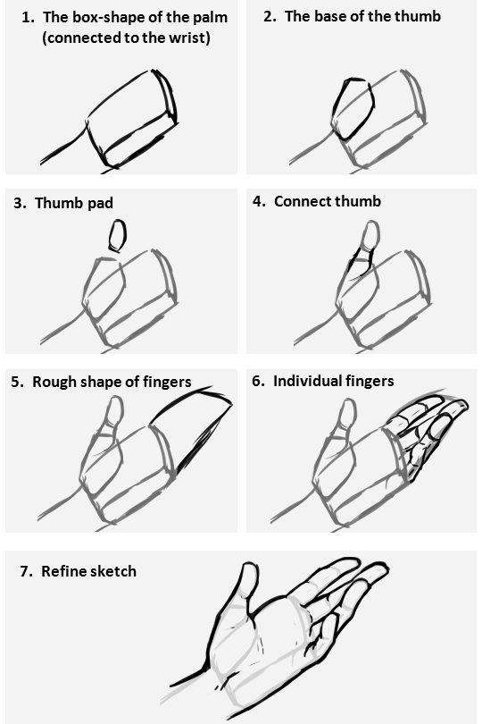 How to draw a hand