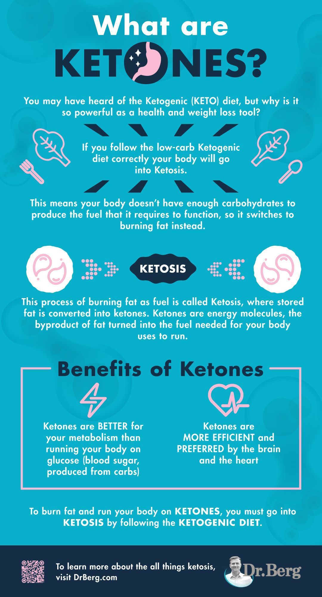 What Is a Ketone [INFOGRAPHIC] | Dr.Berg Blog