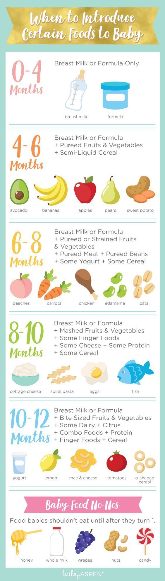 When to Introduce Certain Foods to Baby [Infographic]