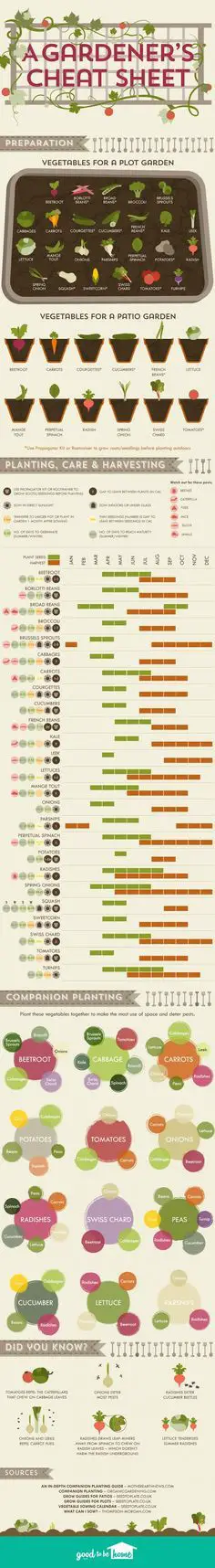 A Vegetable Planting Cheat Sheet Infographic - Mom with a PREP