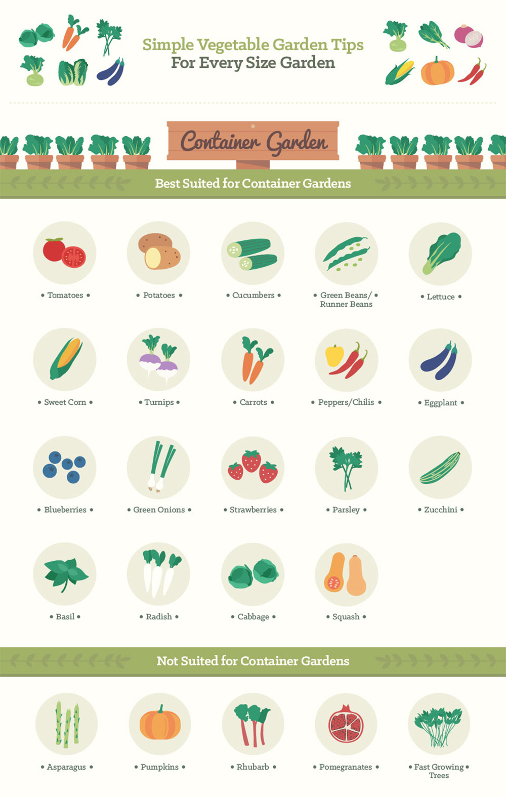 Infographic: Backyard Gardening Tips for Vegetables, Fruits, and Herbs