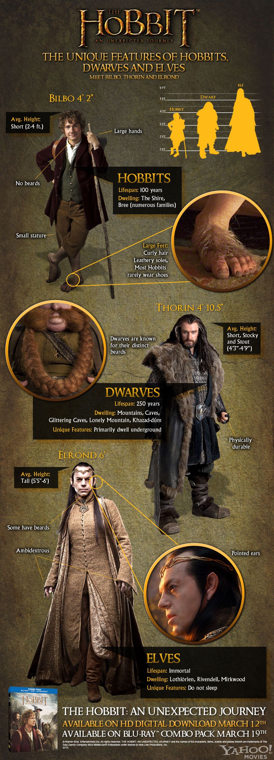 The Inhabitants of Middle Earth | Daily Infographic