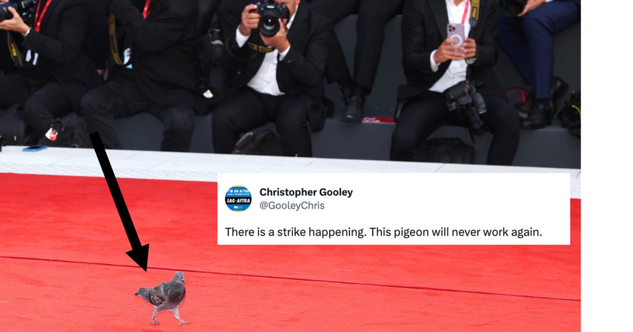 A Pigeon Is A Viral Star After Walking The Venice Film Festival Red Carpet, And The Memes Are The Best Part