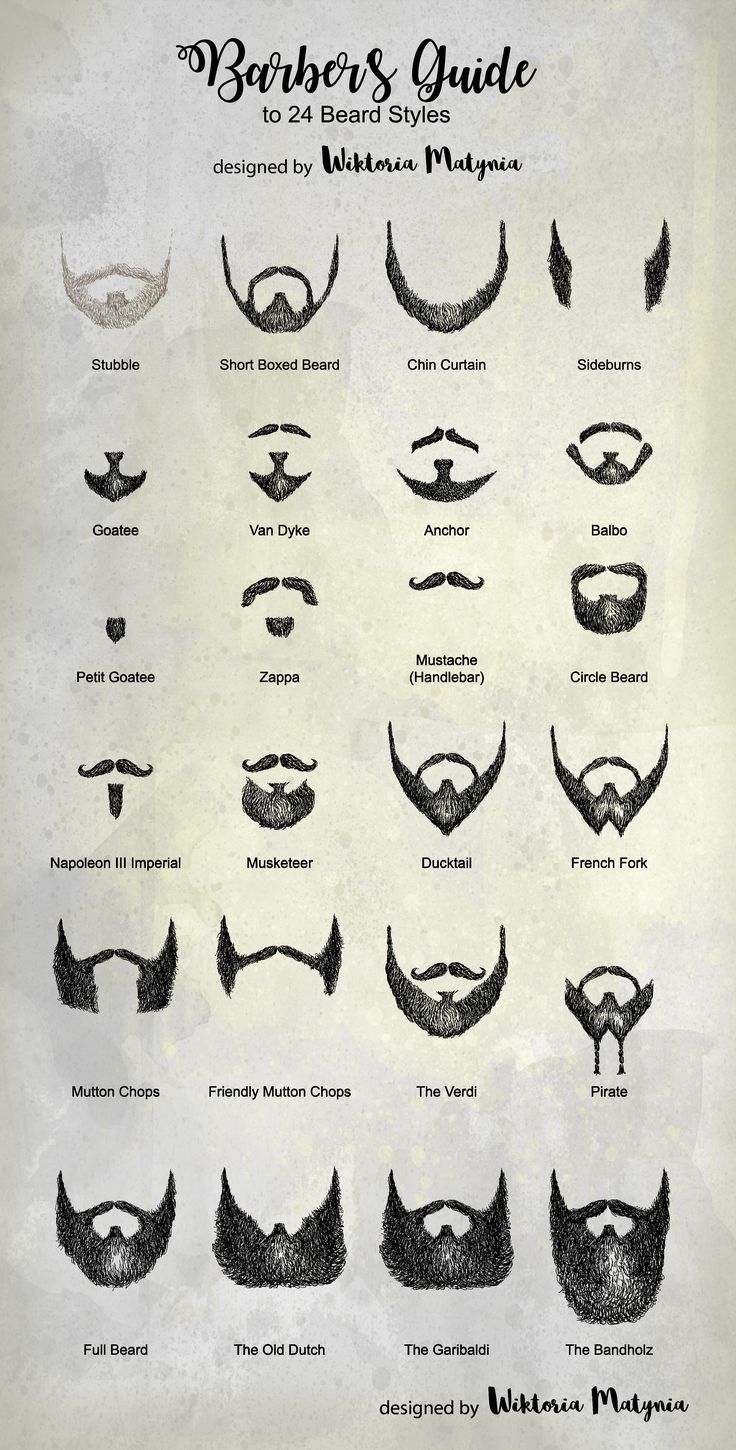 Grafika wektorowa Stock: Barbers guide for beard styles vector