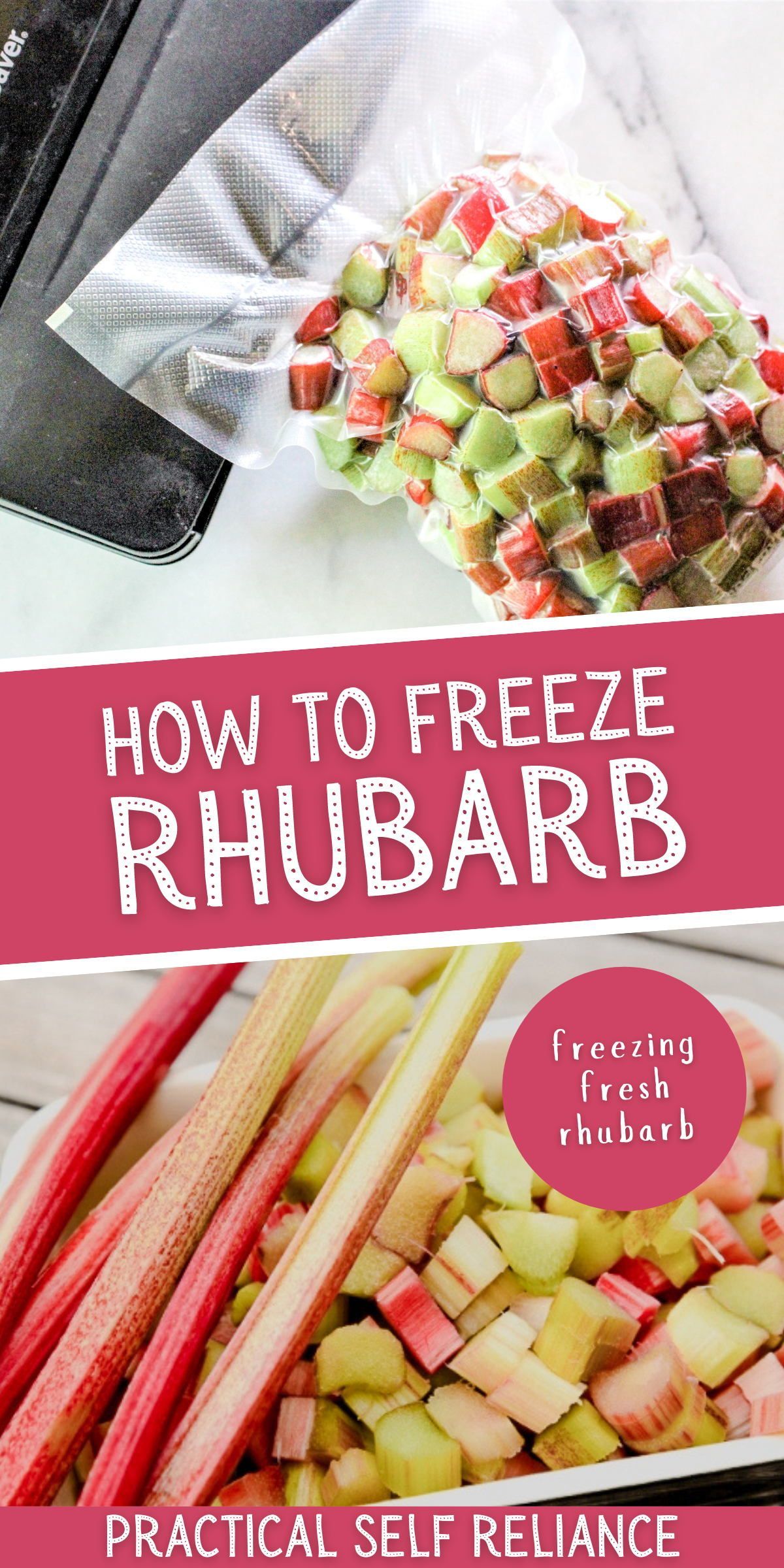 How to Freeze Rhubarb: Freezing Fresh Rhubarb