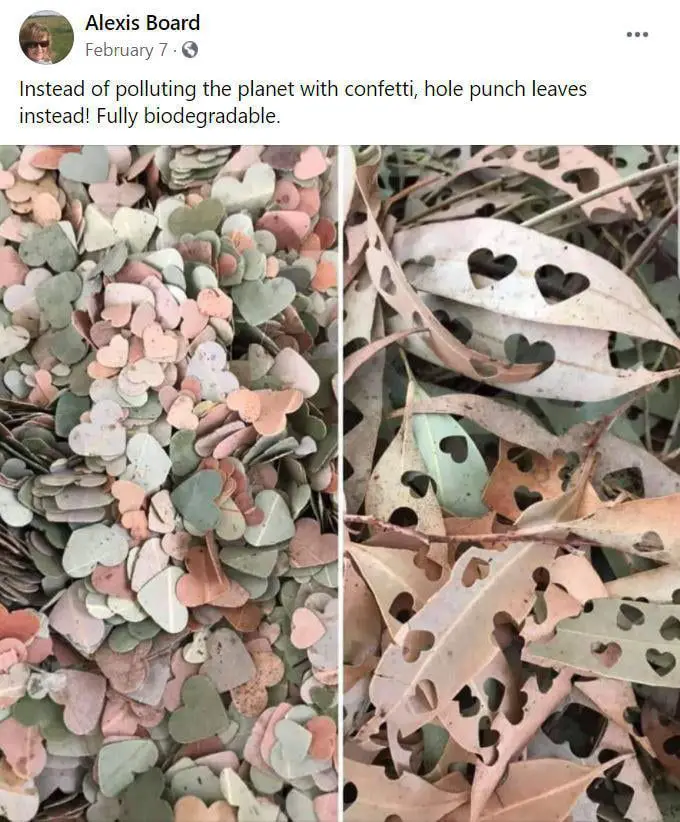 Make biodegradable confetti from leaves | Leaf confetti, Future wedding plans, Biodegradable confett