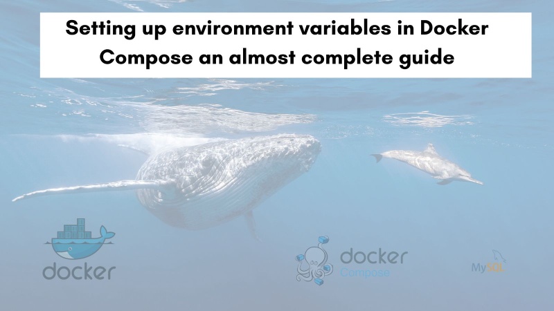 Setting up environment variables in Docker Compose an almost complete guide