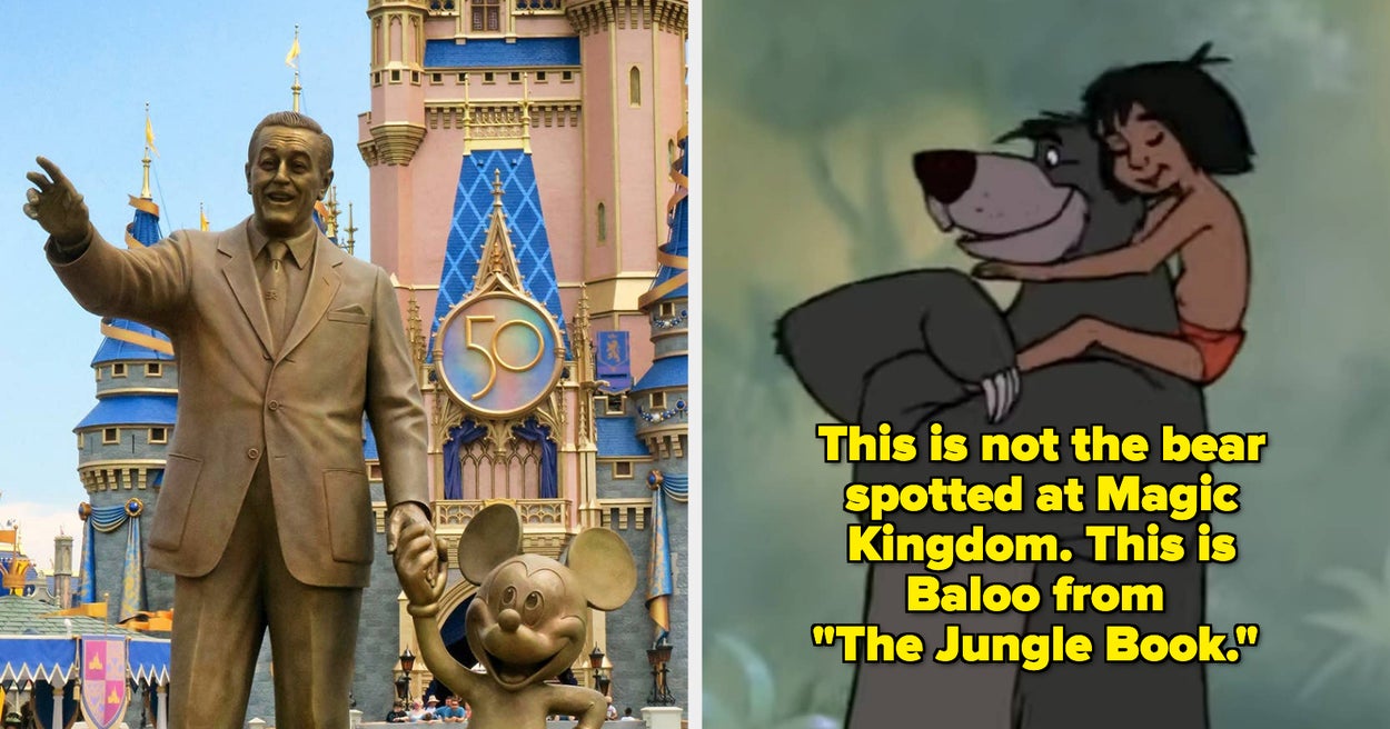 A Wild Bear Was Safely Captured At Walt Disney World