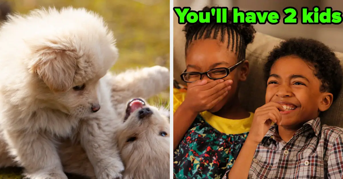 Choose Adorable Dogs To Discover The Number Of Children You'll Have