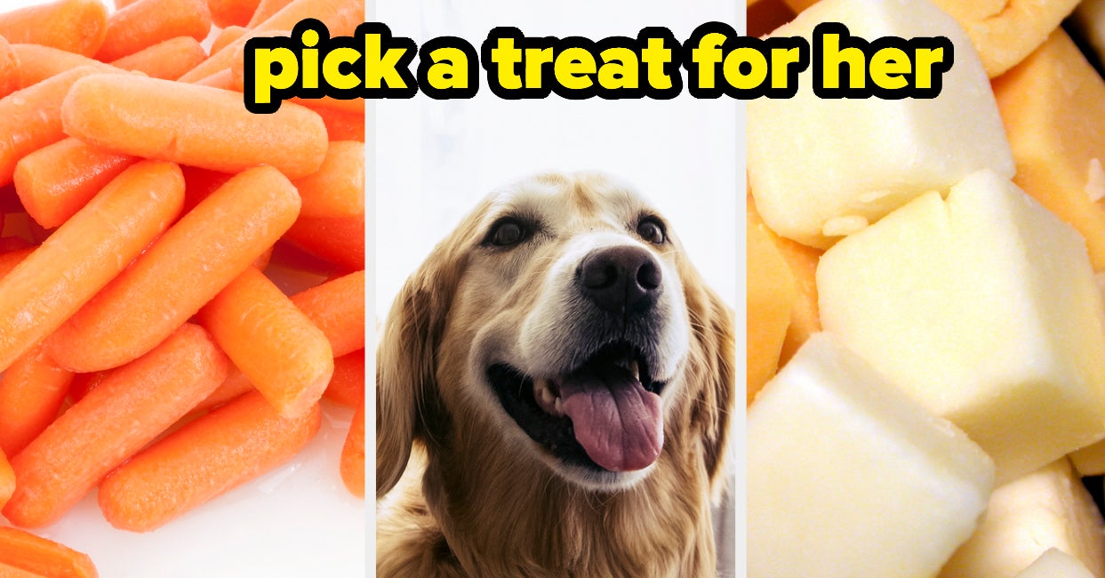 Give Dogs Treats To Predict Your Relationship Style