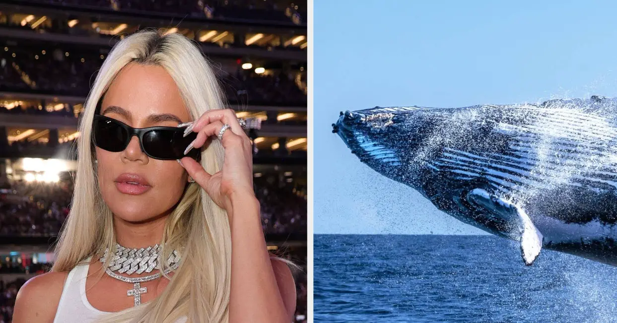 Khloé Kardashian Fear Of Whales Twitter Reactions