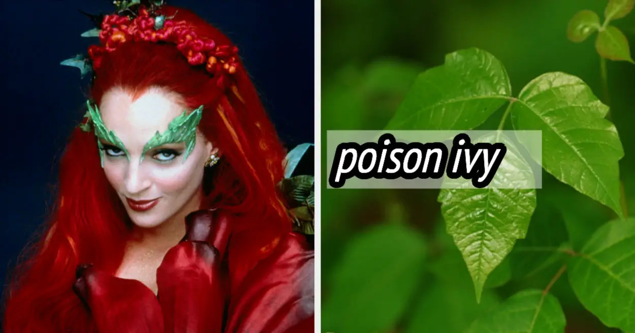 Let Me Read Your Leaves To Reveal Which Poisonous Plant You Are Deep Down