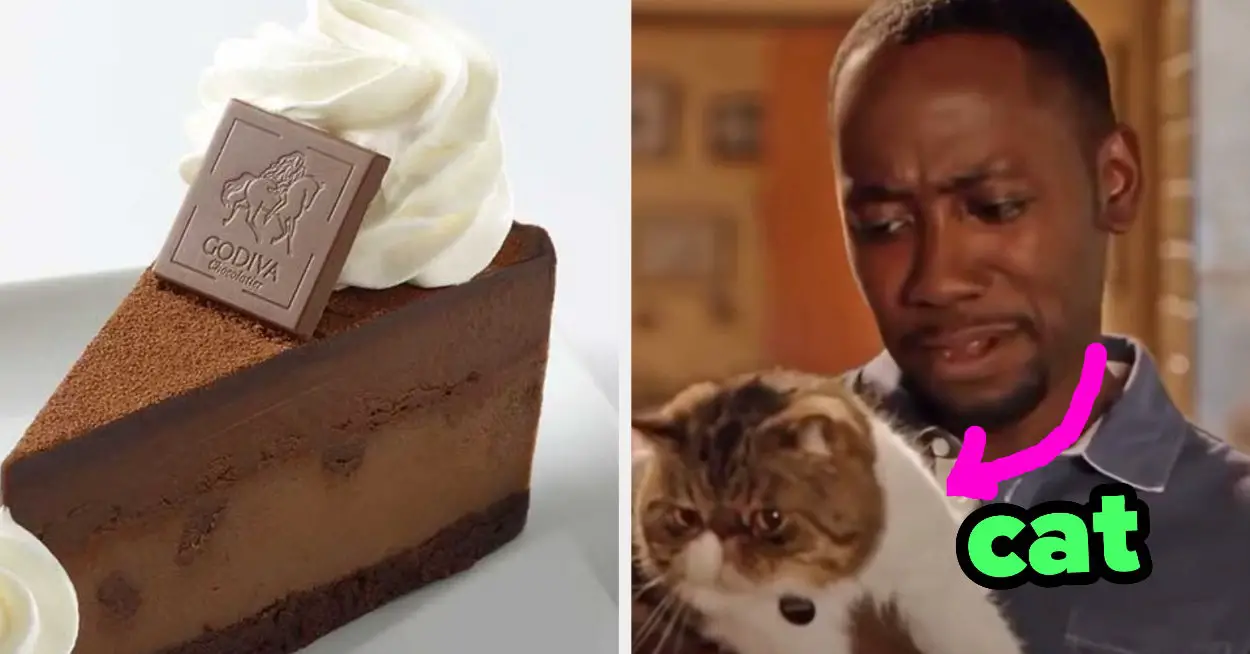 Pick 8 Slices Of Cheesecake And We'll Tell You What Pet You Should Adopt
