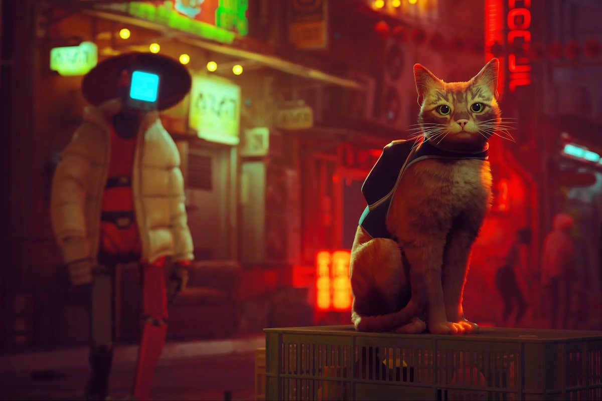 Stray Is Getting an Animated Movie Adaptation at Annapurna Interactive
