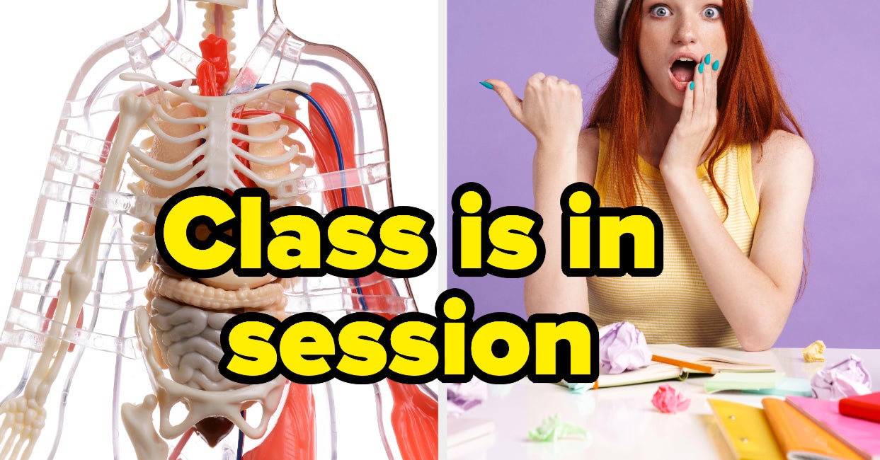 Tell Us Something They Skipped In Health Class You Totally Wished You Knew?