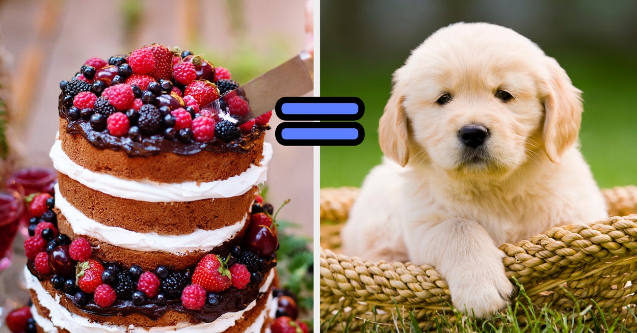 Whip Up A Cake And I'll Reveal Which Dog Breed Matches Your Personality