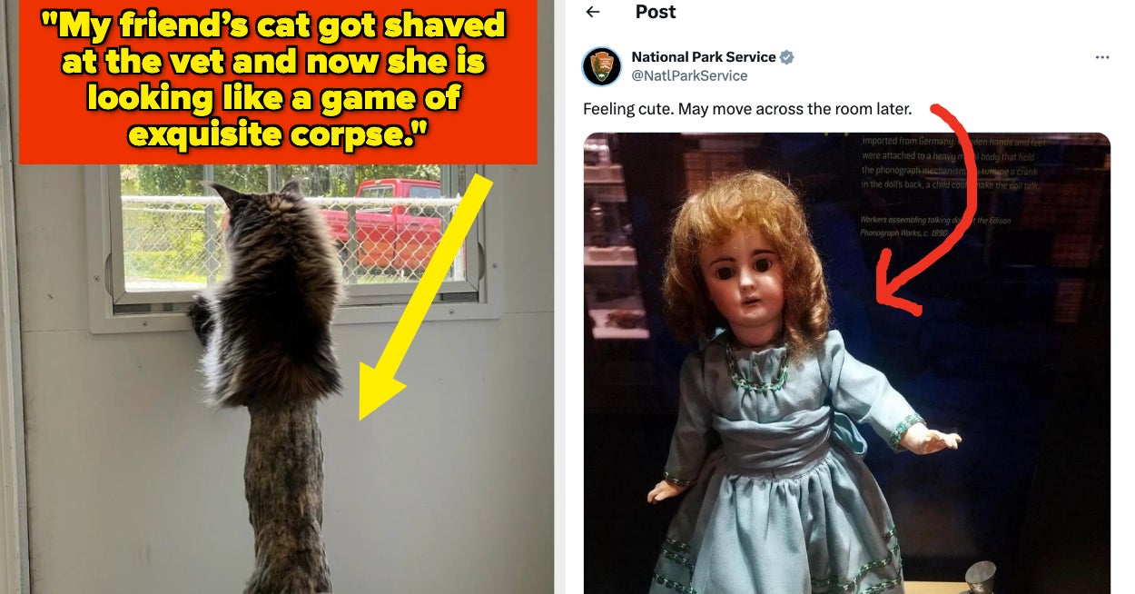 80 Funny Tweets From October