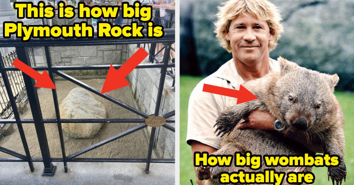 89 Mind-Blowing Facts That Sound Absolutely Ridiculous But Are Actually Completely, Totally, 100% True