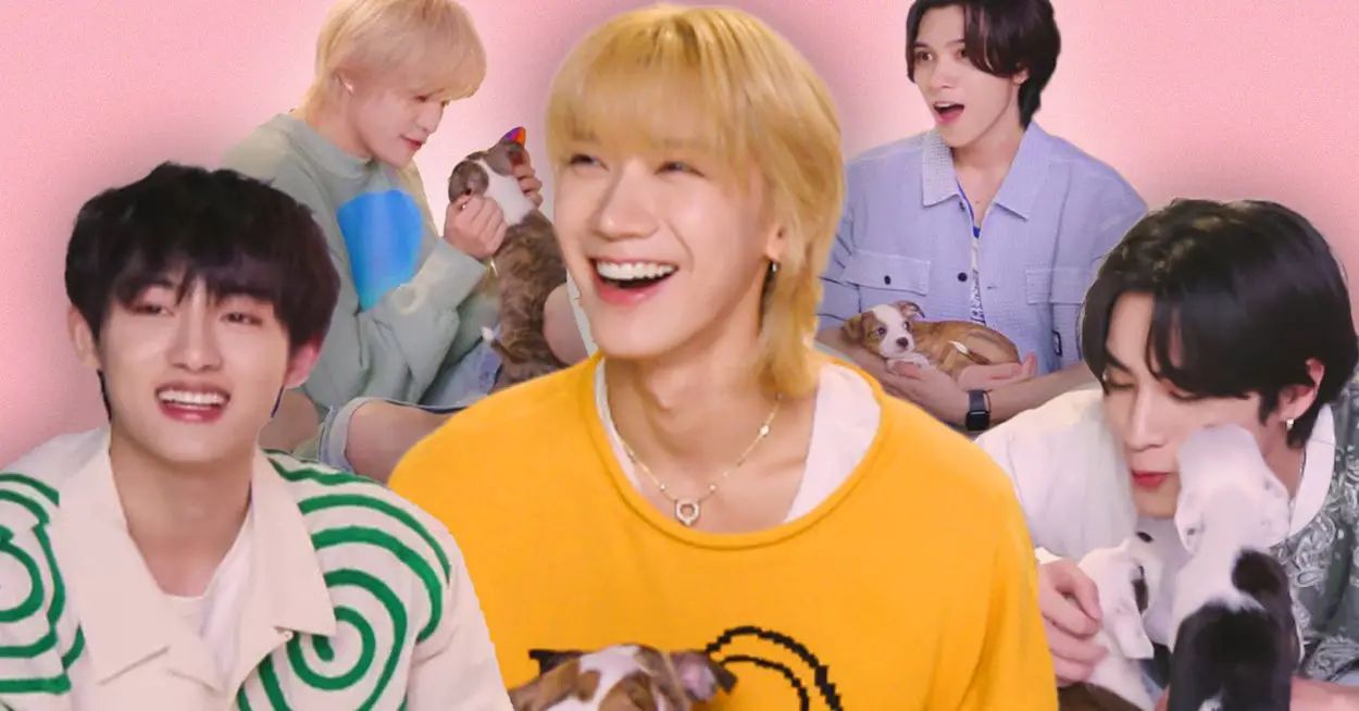 WayV Answered Your Questions While Playing With Puppies And If You Don't Stan Them, You Will Now