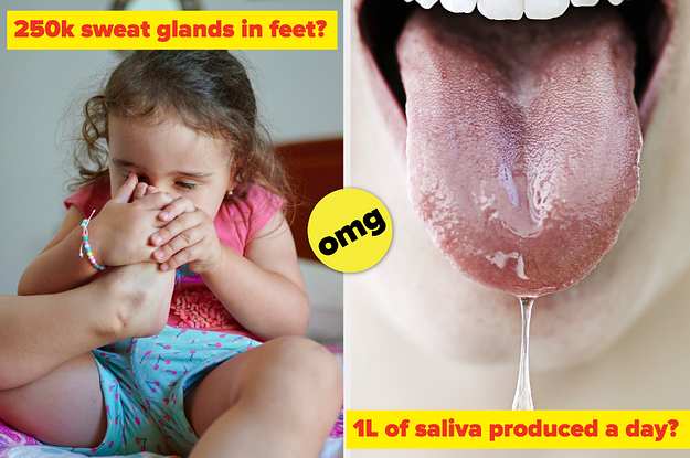 17 Gross And Interesting Human Body Facts You Can't Unhear