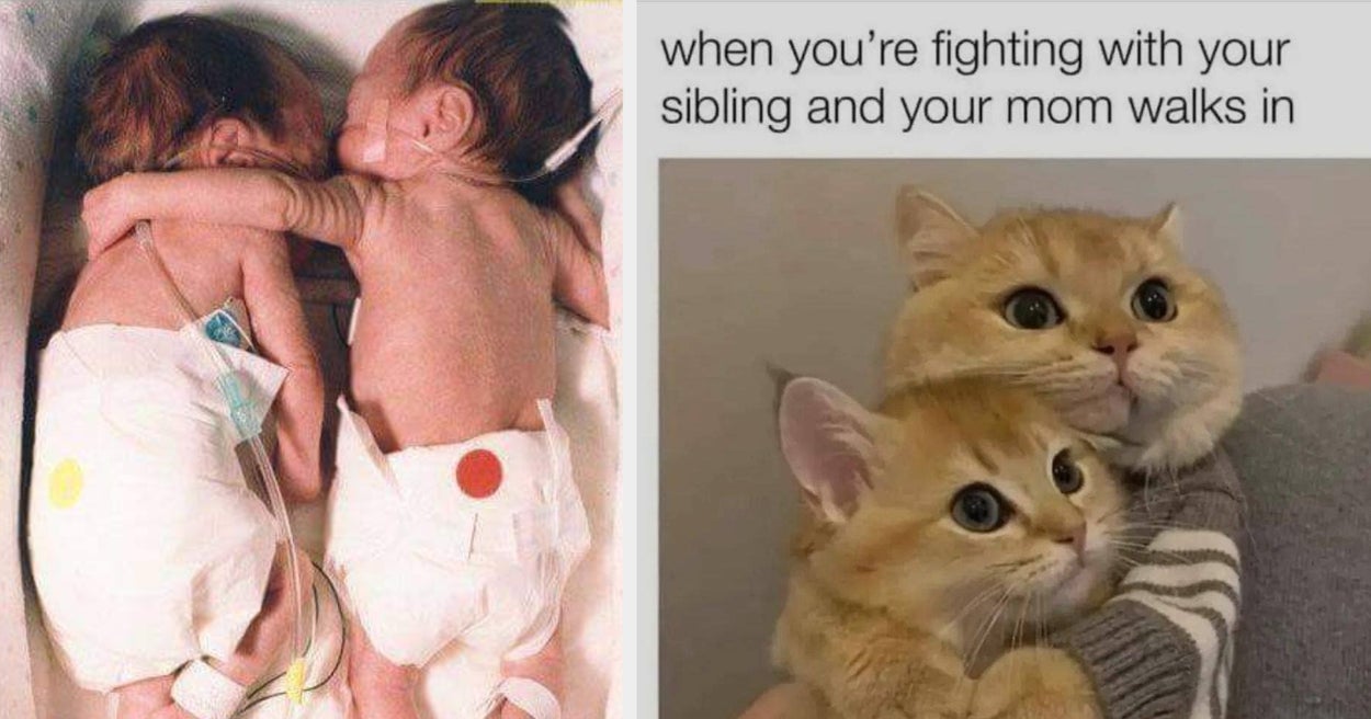 19 Wholesome Sibling Memes