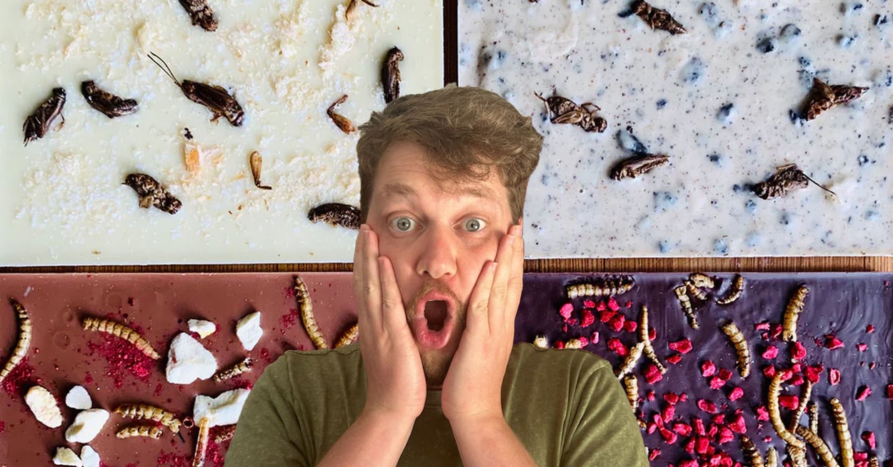 I Ate Insects For Four Months — Here's Why