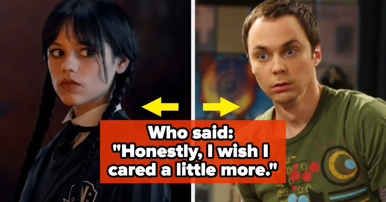 It's Wildly Difficult To Tell If These Dark Humor Quotes Are By Sheldon Cooper Or Wednesday Addams, But Take A Stab At It