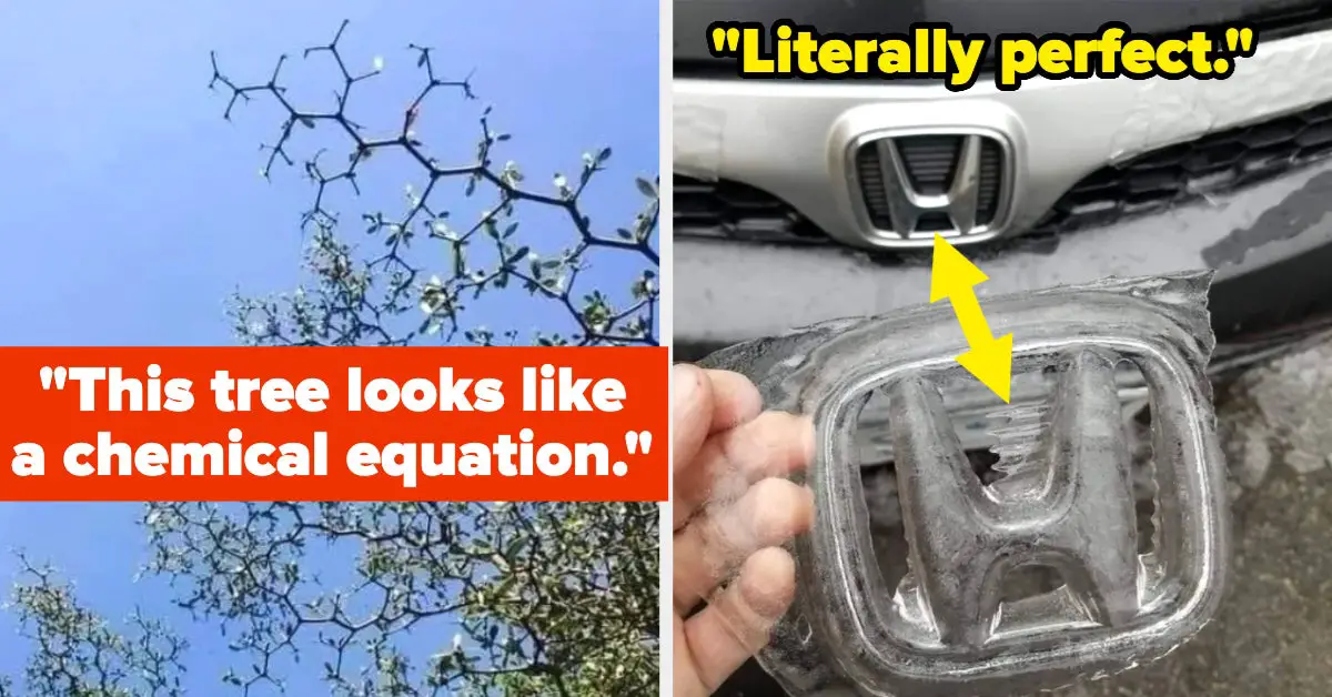 16 Satisfying Photos That'll Make You Wanna Dump Your BF
