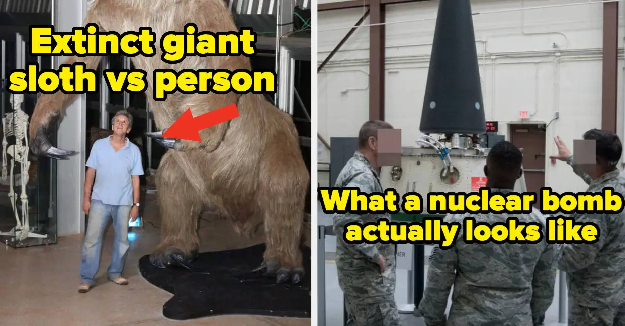 My Dumb Little Brain Is Completely And Totally Blown After Seeing These 22 Absolutely Fascinating Pictures For The First Time Last Week