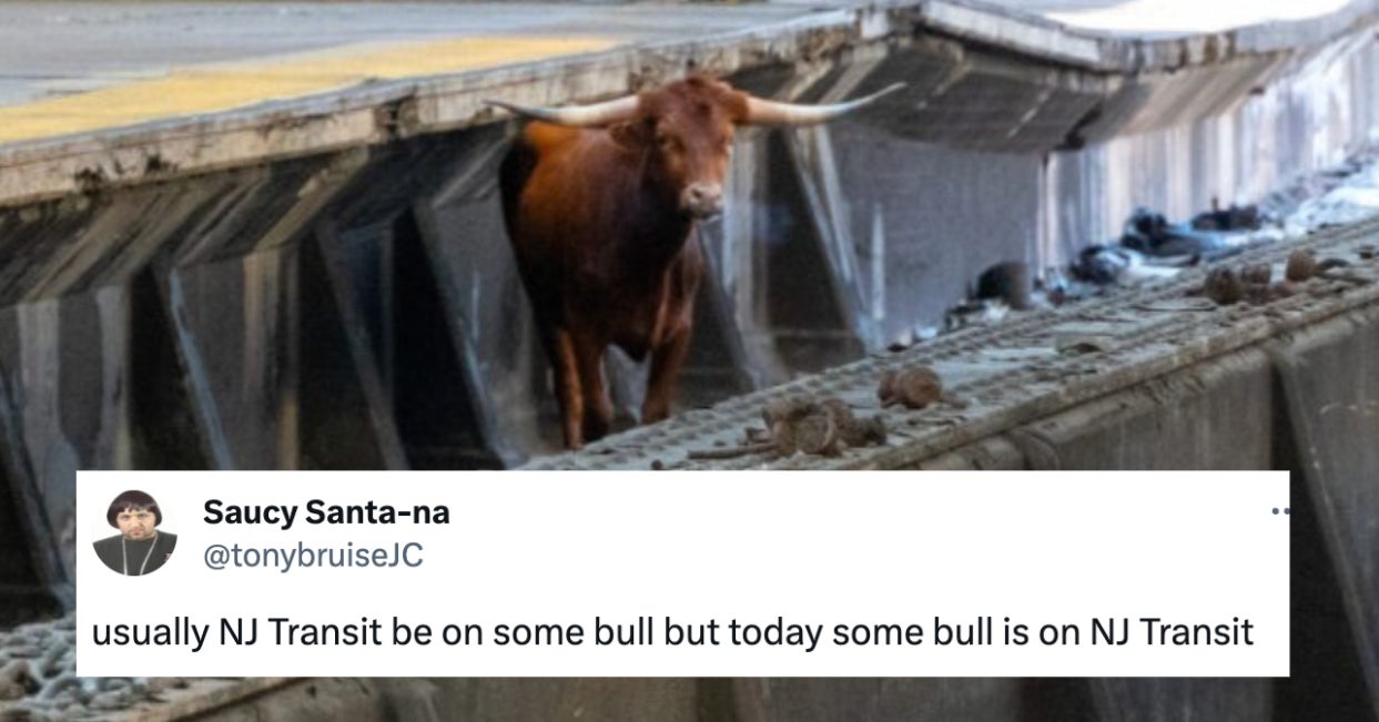 A Bull Caused Chaos On Tracks Near NYC, And The Jokes Are The Best Part